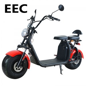 CITYCOCO harley scooter EEC COC homologué
