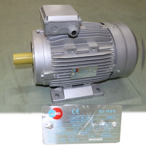Moteur électrique monophasé ou triphasé