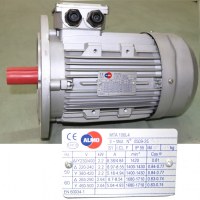 Moteur électrique monophasé ou triphasé