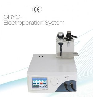 Appareil d’électroporation pour esthétique