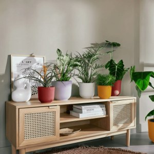 Destockage - Lot de cache-pots Elho neufs - Prix attractifs