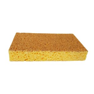 Éponge non rayante à base de coques de fruits