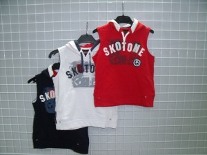 DESTOCKAGE DE PULLS SANS MANCHES ERPAREIL/2-6 POUR GARCONS A 1.70EUR