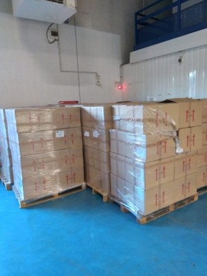 ESSOREUSE AUTOMATIQUE A BATTERIE FREGOLA POUR SERPILLÈRE