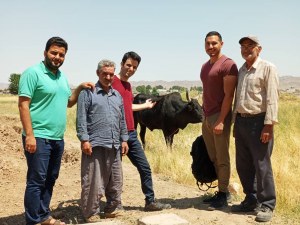 Safran d'Iran en Pistils. Pur, Bio, et Commerce Equitable (Entretiens Skype sont les bi...)