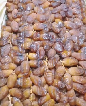 Vente en gros de dattes deglete nour