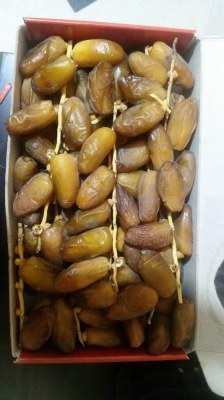 Vente en gros de dattes deglete nour