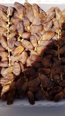 Dattes deglet nour chemroukh et arjoun