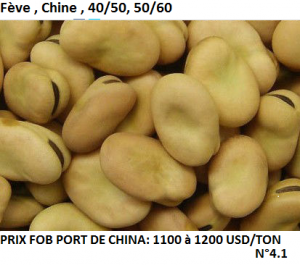 Fève