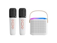 Mini Karaoké Bluetooth 5.3 - Enceinte + 2 Micros Sans Fil - Effets Lumineux RGB, Son Su...
