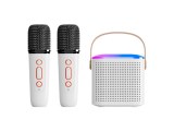 Mini Karaoké Bluetooth 5.3 - Enceinte + 2 Micros Sans Fil - Effets Lumineux RGB, Son Su...