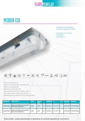 REGLETTE ETANCHE 2X36