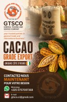 Cacao grade export origine côte d'ivoire disponible chez GTSCO general trading and serv...