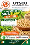 Fournisseur du soja blanc recherche des contrats d'approvisionnement