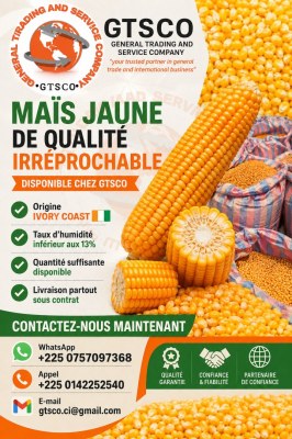Maïs jaune faible taux d'humidité origine ivory coast