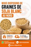 Soja blanc disponible chez GTSCO general trading and service company