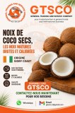 Noix de coco secs disponible en stock chez GTSCO general trading and service
