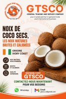 Noix de coco secs disponible en stock chez GTSCO general trading and service