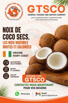 Noix de coco secs disponible en stock chez GTSCO general trading and service