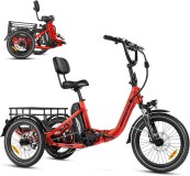 MOTORS CITYTRI E-310 Electric Trike for Adults, 750W 90MI 20AH UL2849 Etrike, Folding...