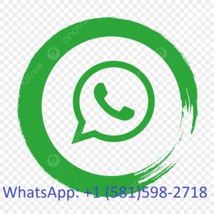 DJI Mini 4 Pro Drone with RC 2 & Travel Case Kit