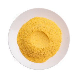 Fabricant poudre de fruits lyophilisées