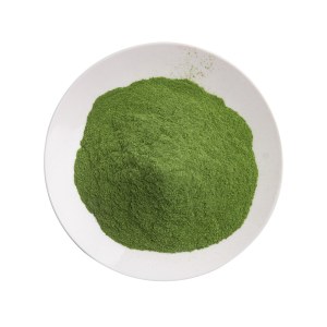 Fabricant poudre de fruits lyophilisées