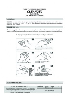 Gel hydroalcoolique desinfectant antibactériens 250 ML