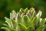 Geant vert - fonds d'artichauts sans conservateur