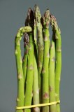 Geant vert - pointes d'asperges blanches en bocal