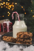 Gerble - biscuits sans gluten au chocolat et noisettes sachets fraîcheur