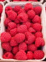 Gerble - confiture aux fruits rouges sans sucres ajoutés