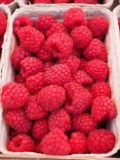 Gerble - confiture aux fruits rouges sans sucres ajoutés