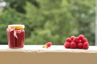 Gerble - confiture de framboise sans sucres ajoutés
