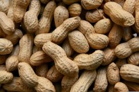 Gerlinea - fit et proteim barre de céréales au chocolat noir saveur cacahuète
