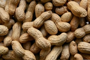 Gerlinea - fit et proteim barre de céréales au chocolat noir saveur cacahuète