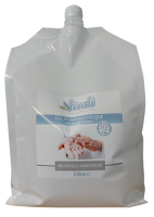 GEL HYDROALCOOLIQUE pour les mains - Écorecharge de 2,5L - Produit de qualité chirurgic...