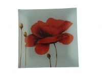 Assiette modele coquelicot/taille 20