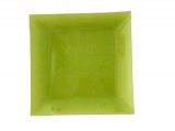 Assiette verte/taille 25