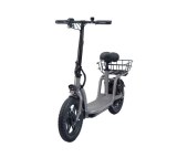 GOTRAX Gotrax Flex Campus Electric Scooter In Gray