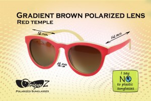 Lunettes polarisés en bois avec boite bambou