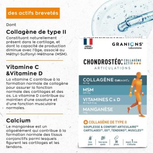 GRANIONS| Chondrostéo+ Collagène Activ' | Contribue à la souplesse et au confort articu...