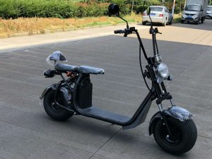 Grossiste citycoco pas cher trottinette électrique en Europe | Gofunsport