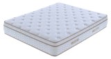 Matelas ressorts ensachées roulés 24 cm /32CM