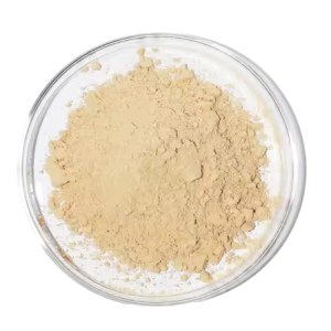 Concombre de mer en poudre - 100% naturel