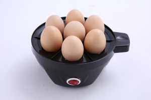 Chaudière à Oeufs Électrique en acier inoxydable Royal Swiss