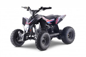 Quad electrique Lithium