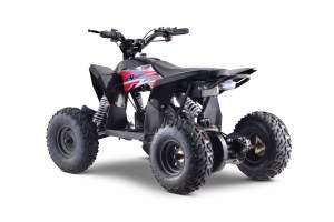 Quad electrique Lithium