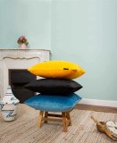 Destokage House de coussin