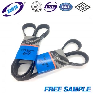 Lot de Roulements et courroies